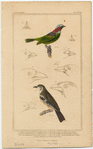 Image ID 820021