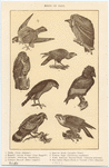 Image ID 820023