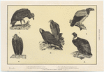 Image ID 820024