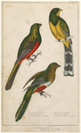 Image ID 820026