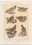 Image ID 820028