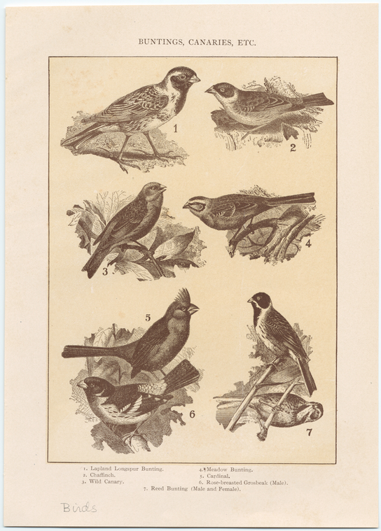 Image ID 820028
