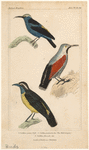 Image ID 820031