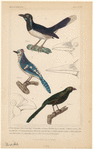 Image ID 820035
