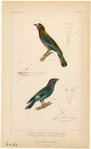 Image ID 820036