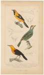 Image ID 820039
