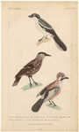 Image ID 820044