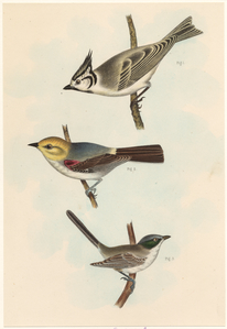 Image ID 820046
