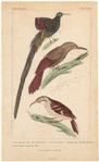 Image ID 820048