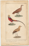 Image ID 820055
