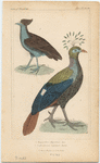 Image ID 820056