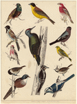 Image ID 820063