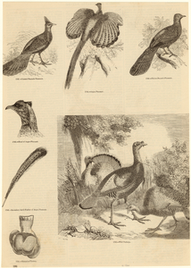 Image ID 820067