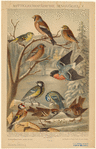 Image ID 820075