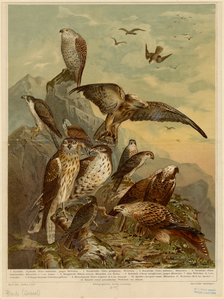 Image ID 820076