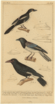 Image ID 820082
