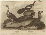 Image ID 820083