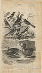 Image ID 820084