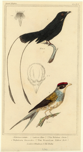 Image ID 820086
