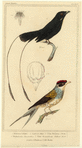 Image ID 820086