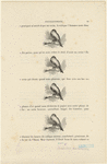 Image ID 820087