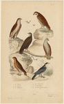 Image ID 820092