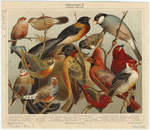 Image ID 820095