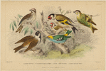 Image ID 820096