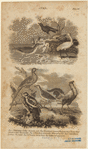 Image ID 820097
