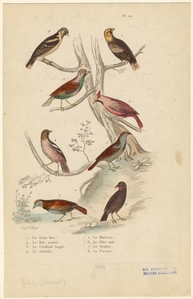 Image ID 820106