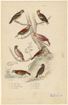 Image ID 820106
