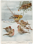 Image ID 820120