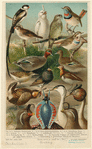 Image ID 820123