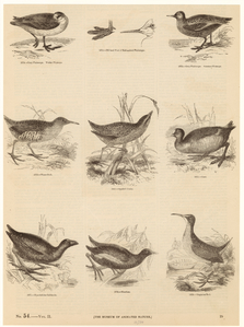 Image ID 820149