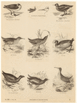 Image ID 820149