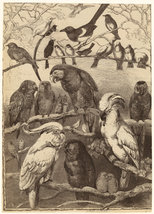 Image ID 820152