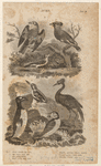 Image ID 820158