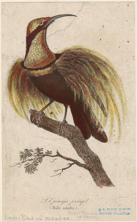 Image ID 820196
