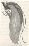 Image ID 820197