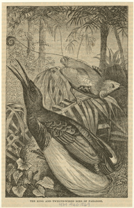 Image ID 820198