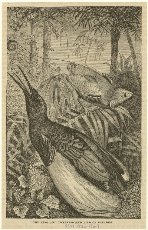 Image ID 820198
