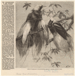 Image ID 820200
