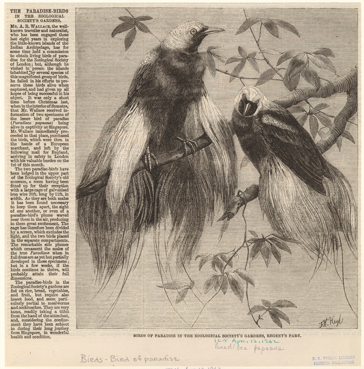 Image ID 820200
