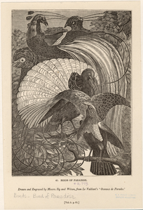 Image ID 820202