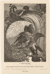 Image ID 820202