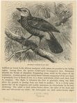 Image ID 820216