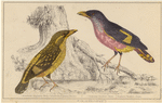 Image ID 820218
