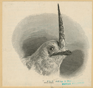 Image ID 820224