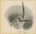 Image ID 820224
