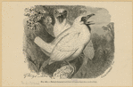 Image ID 820225